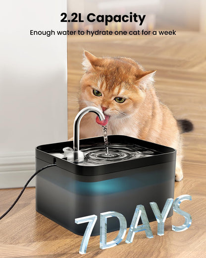 Fontaine a Eau Chat, 2,2L, Super Silencieuse, Filtre À Carbone Activé, Facile À Mettoyer, Distributeur Eau Chat Avec LED, Convient À Plusieurs Animaux De Compagnie